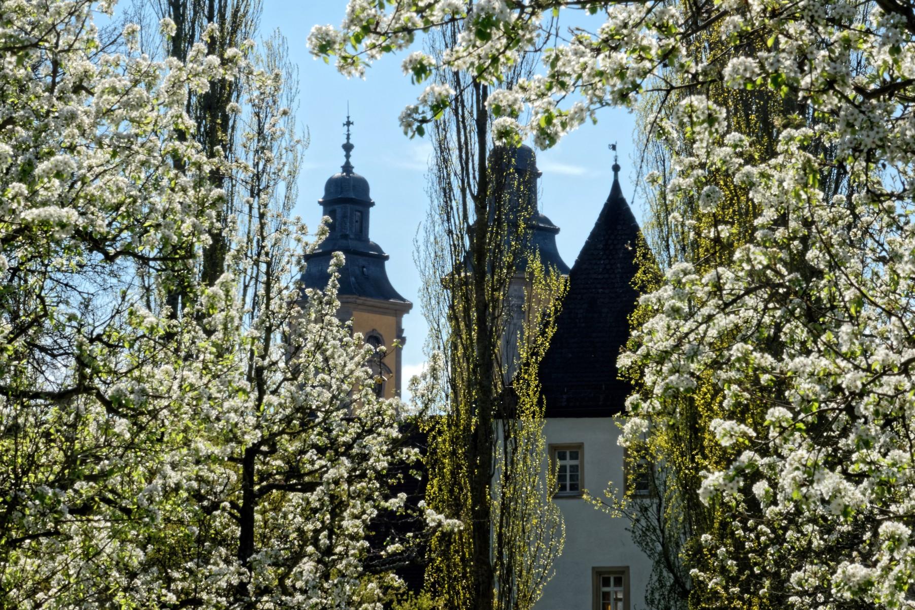 Residenzschloss Mergentheim, Schlosspark, Frühling 