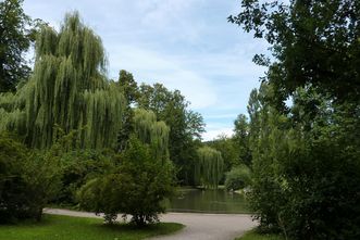 Residenzschloss Mergentheim, Schlosspark, Frühling 