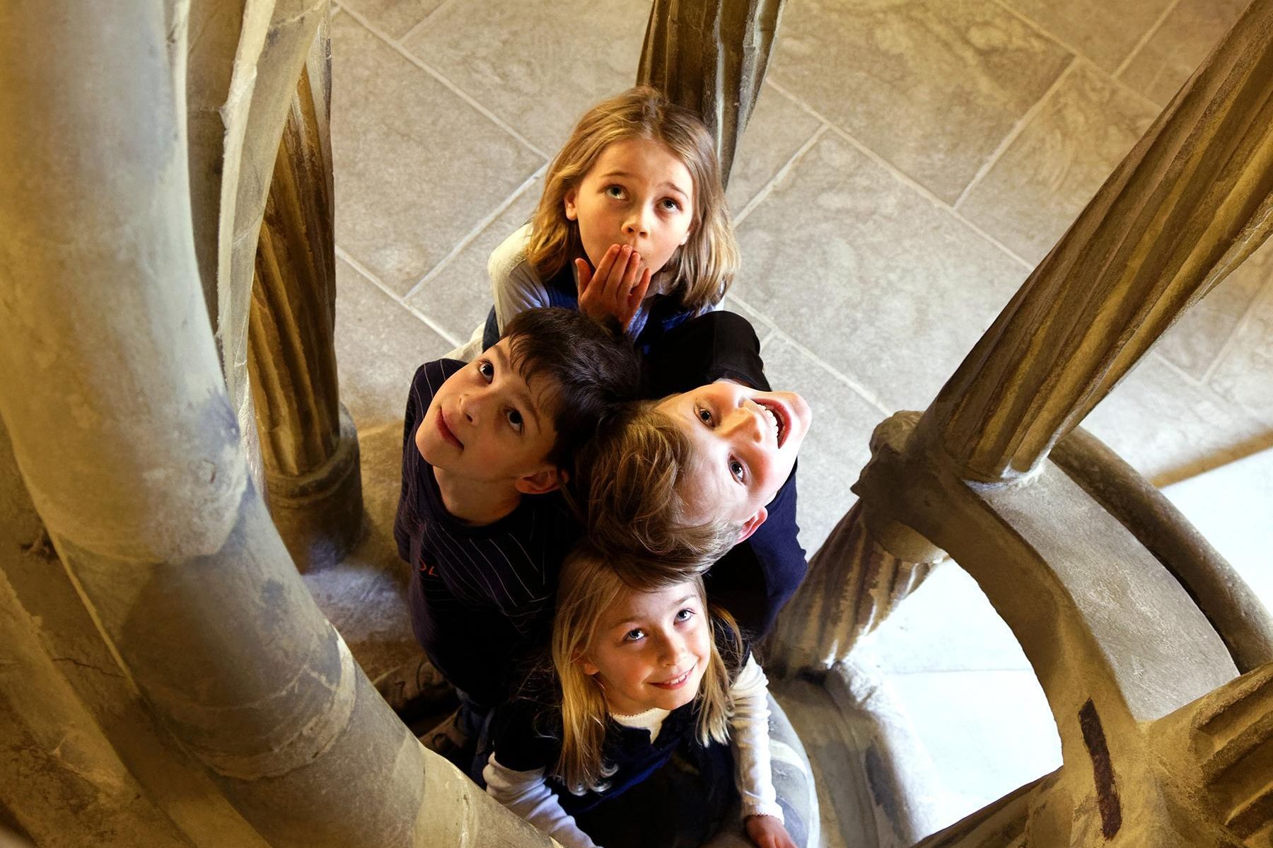 Residenzschloss Mergentheim, Besucher