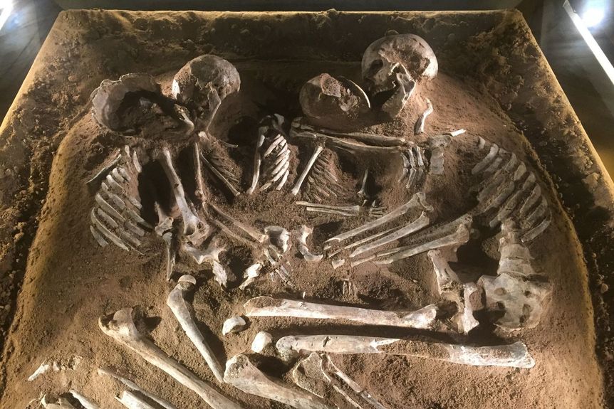 Residenzschloss Mergentheim, Innen, Ausstellung „Jungsteinzeit im Taubertal“, Hockergrab von Althausen 