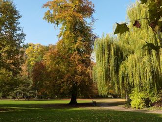 Residenzschloss Mergentheim, Schlosspark, Herbst