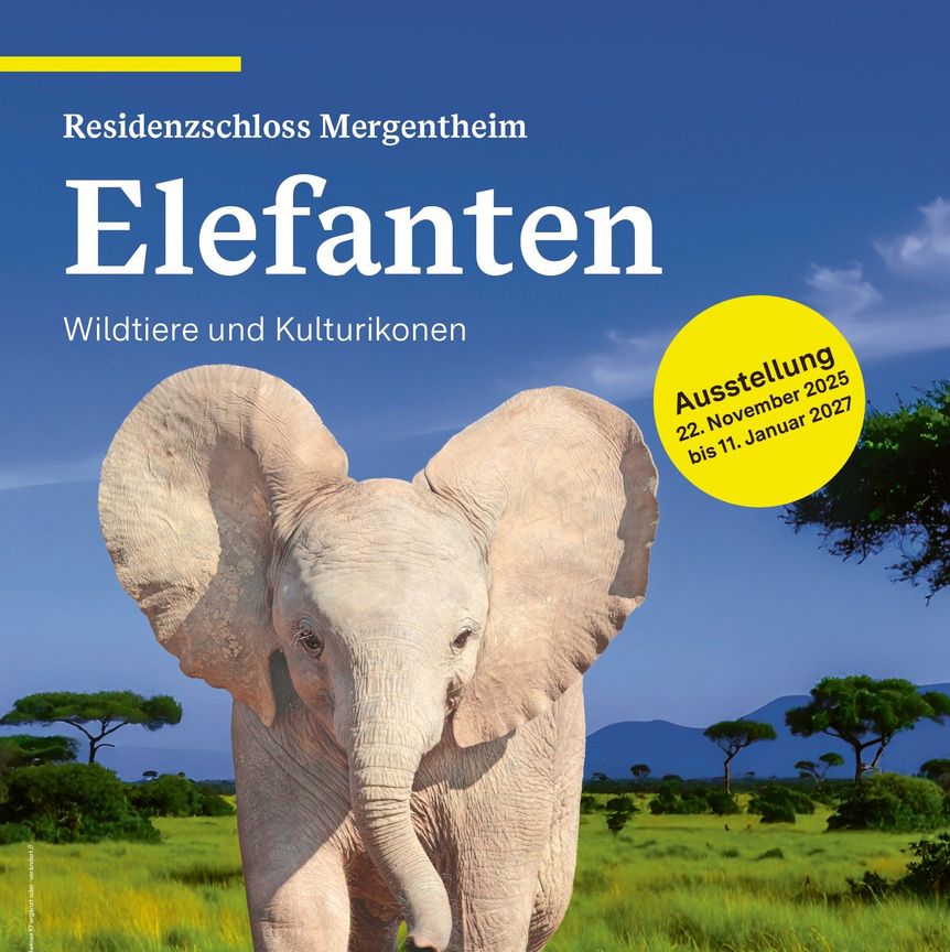 Residenzschloss Mergentheim, Event, Sonderausstellung Elefanten
