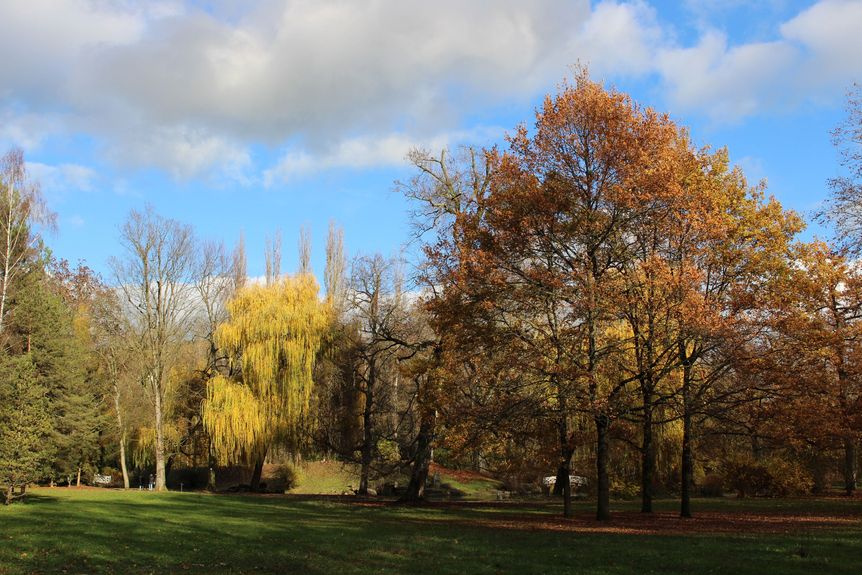 Residenzschloss Mergentheim, Schlosspark, bunte Bäume im Herbst